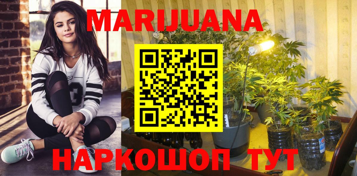 Вязники  Бошки марихуана тримм  Вход с VPN  Марихуана Bruce Banner 